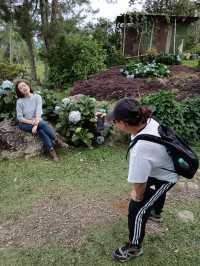 Spring Garden Kundasang, Beautiful floral and landscape