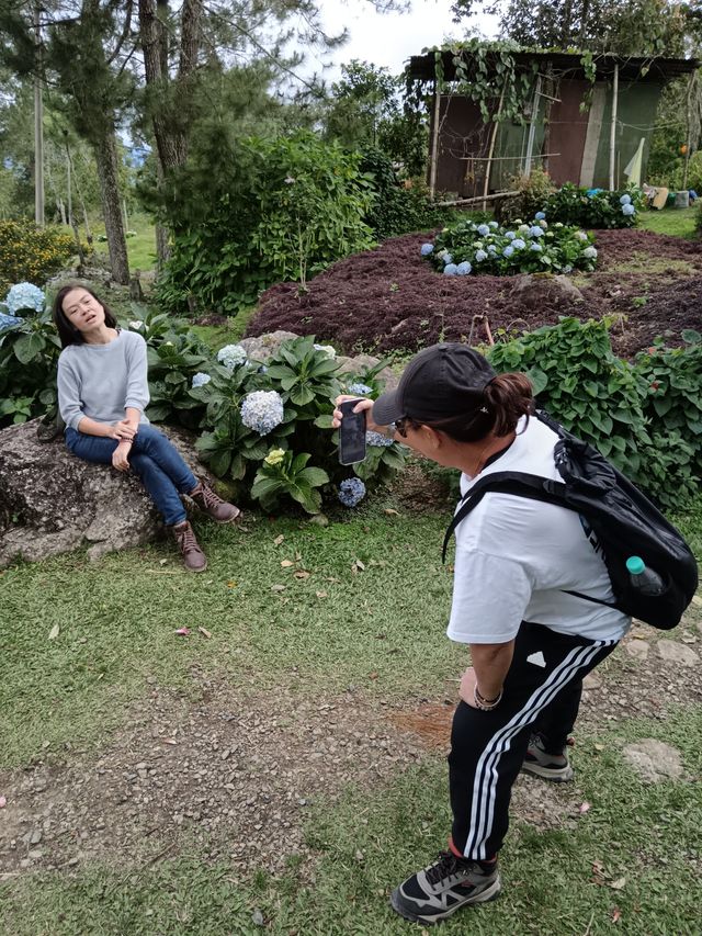 Spring Garden Kundasang, Beautiful floral and landscape