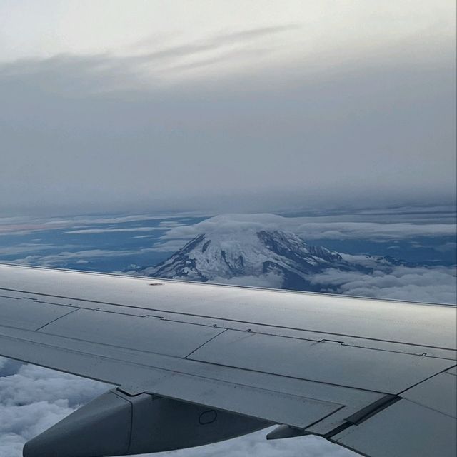 まるで絵画！！@マウントレーニア（Mt. Rainier）