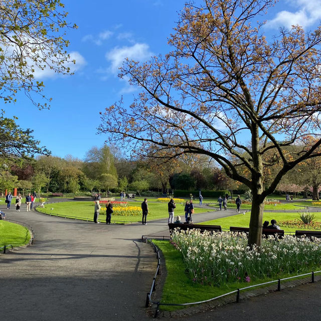 Arnos Park：鳥語花香的自然🌺🐦
