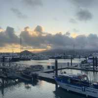 Helicopter Views, Boat Vibes, and Whitehaven Bliss!