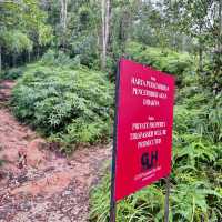 "Discover Nature with a Scenic Hike at Bukit Kepayang, Seremban"