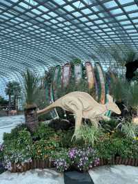 🇸🇬Join the Carnival of Flowers in Flower Dome Singapore ! 