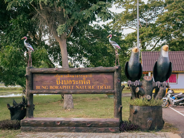 รีวิว บึงบอระเพ็ด (นครสวรรค์) 🦢