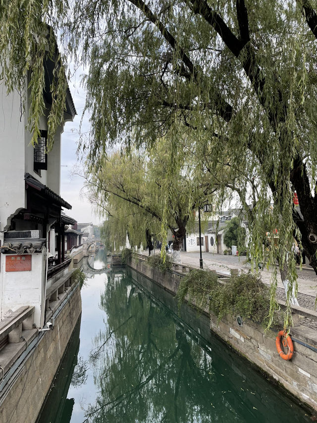 From Ancient Streets to Serene Gardens: A Journey Through Suzhou’s Timeless Beauty