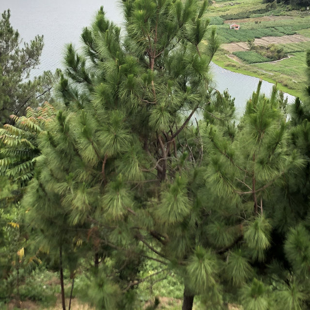 #natural beauty lake Toba, Samosir island #quiet yet serene ambient 
