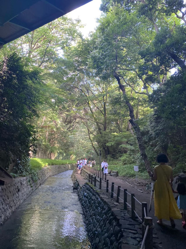 【世田谷区】都会を忘れる23区内唯一の自然渓谷🌳