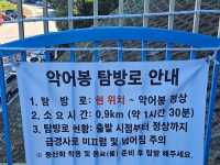악어봉으로 등산 갔다온 악어새