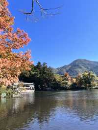 日本獨旅18天Day5 由布院 