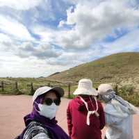 🇰🇷 Whispers of Autumn: The Silver Grass at Sabyeol Oreum