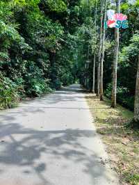 🇸🇬 Berry welcome to Bukit Batok Nature Park
