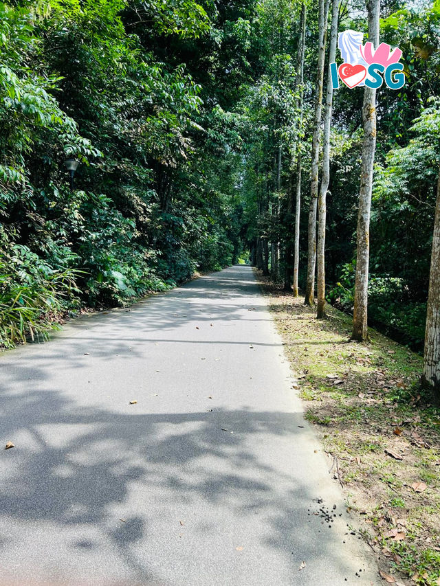 🇸🇬 Berry welcome to Bukit Batok Nature Park