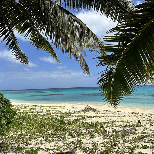 A Hidden Gem at Matafonua Beach Resort, Ha’apai, Tonga!