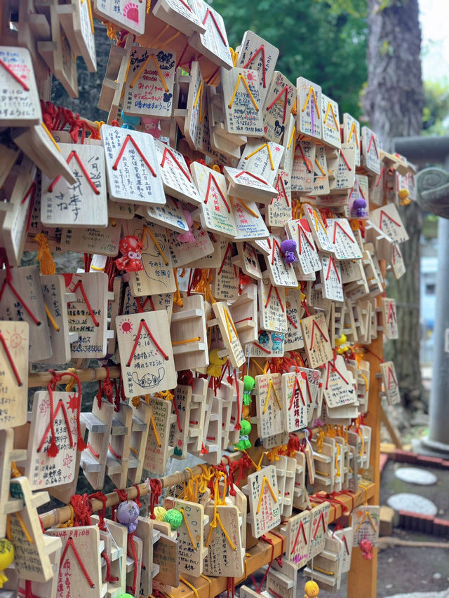 【東京】大事な日の前にここ行って!!日本で唯一の気象神社☀️