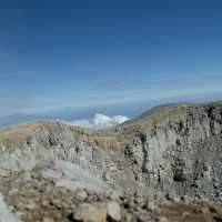 Friend of Mount Arjuno