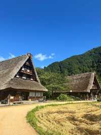 日本🇯🇵世界遺產之一五䓢山合掌村‼️浪漫💕鄉村