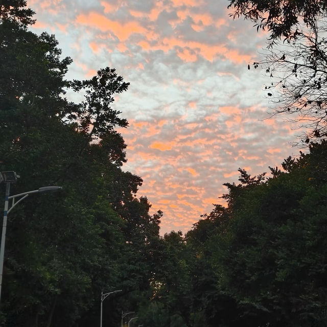新坑水庫：風光明媚🌅🏞️