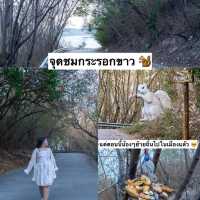 แพลนเที่ยว เกาะสีชัง 2 วัน 1 คืน ชลบุรี