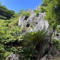 【沖縄】沖縄本島最北端！！！自然のパワースポット🌳