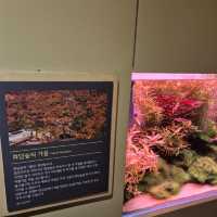 🏞비바리움을 연상케하는 자연 아쿠아리움 화담숲자연생태관🏞