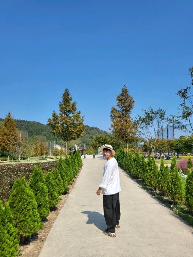 핑크뮬리 탑티어는 역시 합천