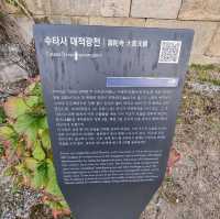 단풍구경도하고 보물가득한 수타사도 보러 홍천가자