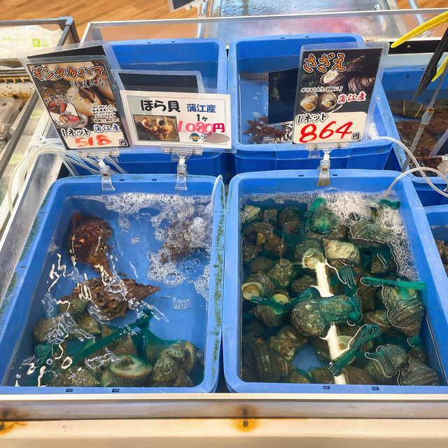 【佐伯】貝類、お刺身🐟が安い！新鮮！✨