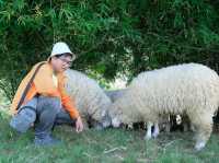 𝐀𝐛𝐨𝐧𝐳𝐨 𝐘𝐚𝐦𝐚 𝐌𝐢𝐭𝐬𝐮 🐑