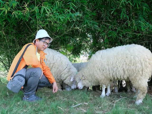 𝐀𝐛𝐨𝐧𝐳𝐨 𝐘𝐚𝐦𝐚 𝐌𝐢𝐭𝐬𝐮 🐑