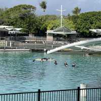 Brisbane & gold coast Sea world 하루종일 놀기