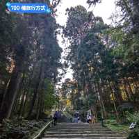 漫步參天杉木的森林參道：仙台名勝瑞鳳殿