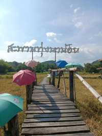 คาเฟ่ฟิวธรรมชาติ