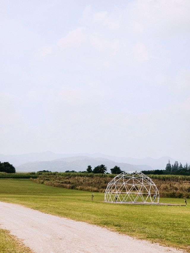 The Camping Field Cafe'