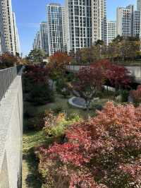 단지 중앙에 예쁜 단풍과 🌳 소담한 산책길을 경험할 수 있는 송파 공원 여행지 추천🍁