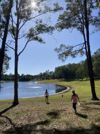 호주 브리즈번의 Forgan Picnic Area!