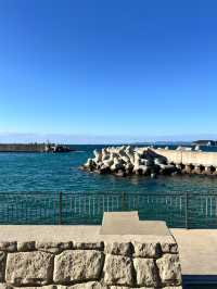 【和歌山／白浜】海の見える施設で海鮮三昧