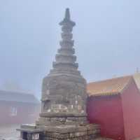 Central Wisdom: Serenity Unveiled