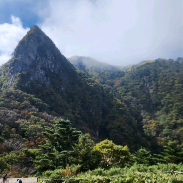 우리나라에서 가장 높은산 한라산을 가보자