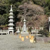 ชมความงามของวัดFutagoji และธรรมชาติ✨️