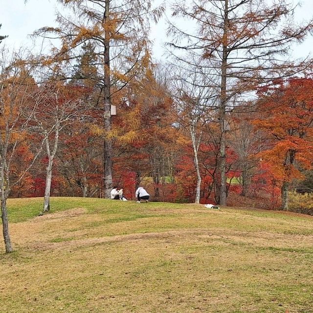浸泡在露天溫泉，觀賞著遍山紅葉