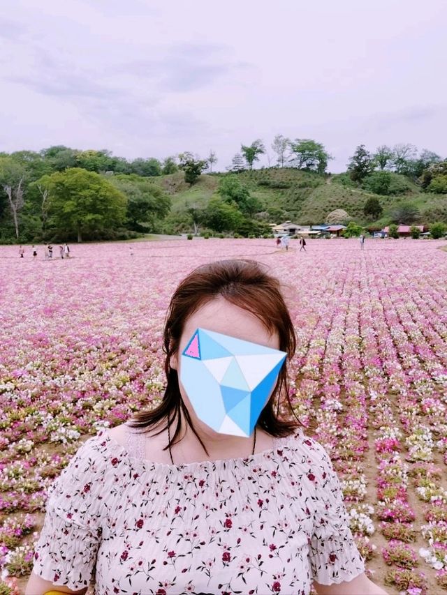 【千葉県袖ヶ浦市】東京ドイツ村