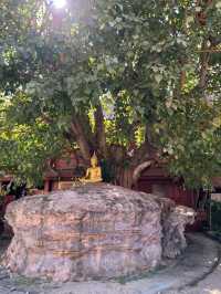 Wat Phra Singh: A Jewel of Chiang Mai