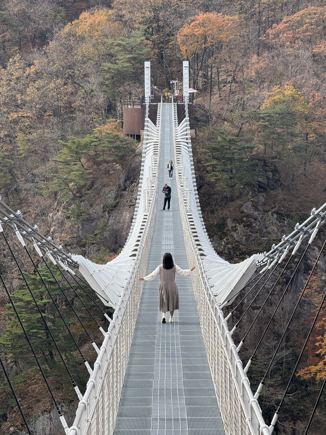 (실시간) 가을을 맞아 더욱 아름다워진 진안 운일암반일암 출렁다리🍁🤎