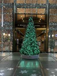 여유롭고 한적한 오다이바에서 느끼는 🎄크리스마스 감성 🎁일루미네이션 명소