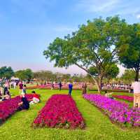 สวนหลวงร.9 สวนสาธารณะที่ใหญ่ที่สุดในกรุงเทพ