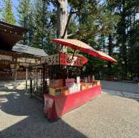 打卡寶登山神社