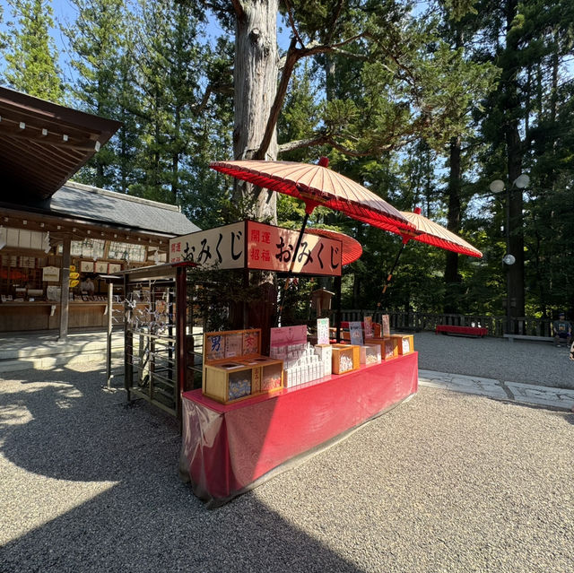 打卡寶登山神社