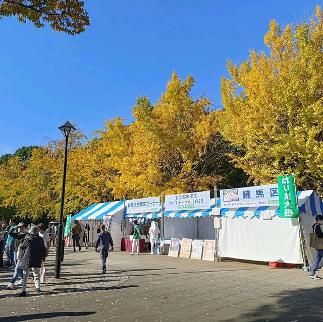 東京賞銀杏/楓葉：光丘公園
