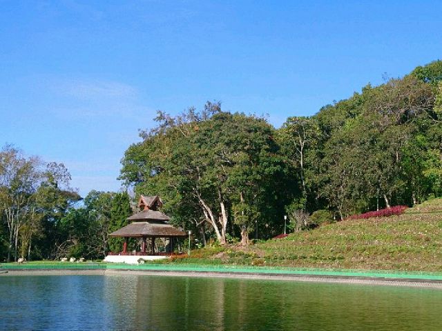 สวนดอกไม้..พระตำหนักภูพิงค์