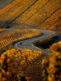 Exploring Castles and Vineyards: A Road Trip Through Rhineland-Palatinate